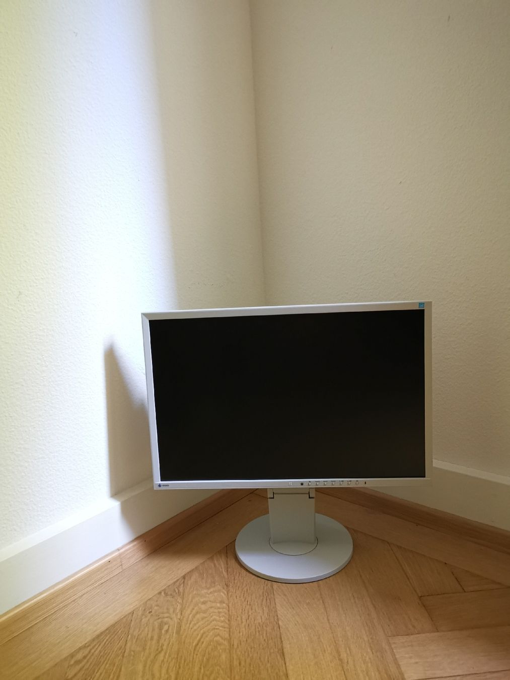 Eizo Monitor: Bildschirm – Usato da Zürich venduto da Valouche 1