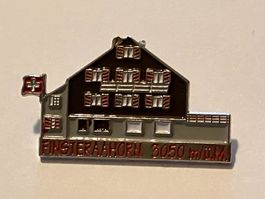 1 Pin Finsteraahorn 3050 müM
