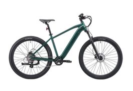 E-Bike Mountainbike 29"" AVALANCHE grün - Gratis Versand