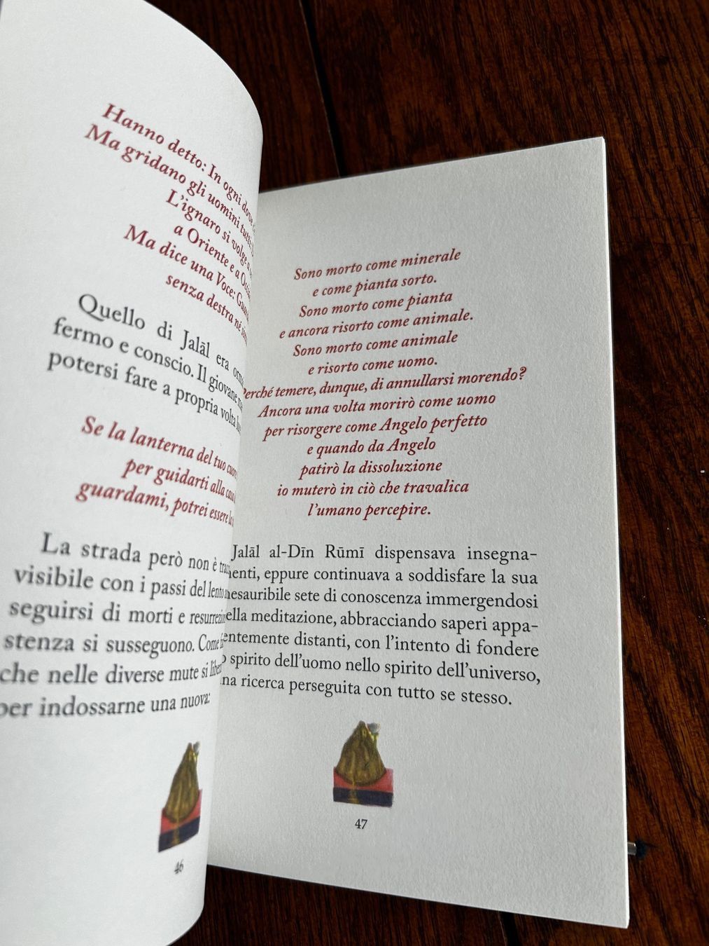 Libri: Ferdinando Albertazzi: Rumi – Usato da Basel venduto da Chamisso 2