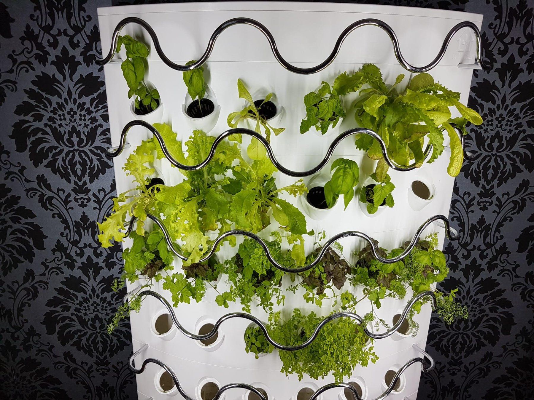 Box contenitori: Indoor Gardening - iHarvest / Hydroponik – Usato da Basel venduto da mar_7pjv 3