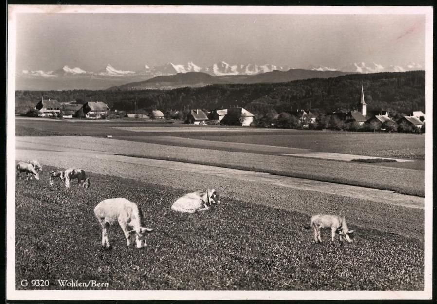 Fotografie &  Plakate: Fotografie Wohlen / Bern, Panorama der O – Gebraucht aus Berlin von bartko-reher