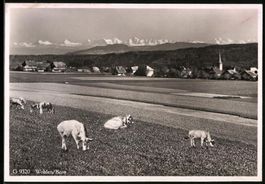 Fotografie Wohlen / Bern, Panorama der O