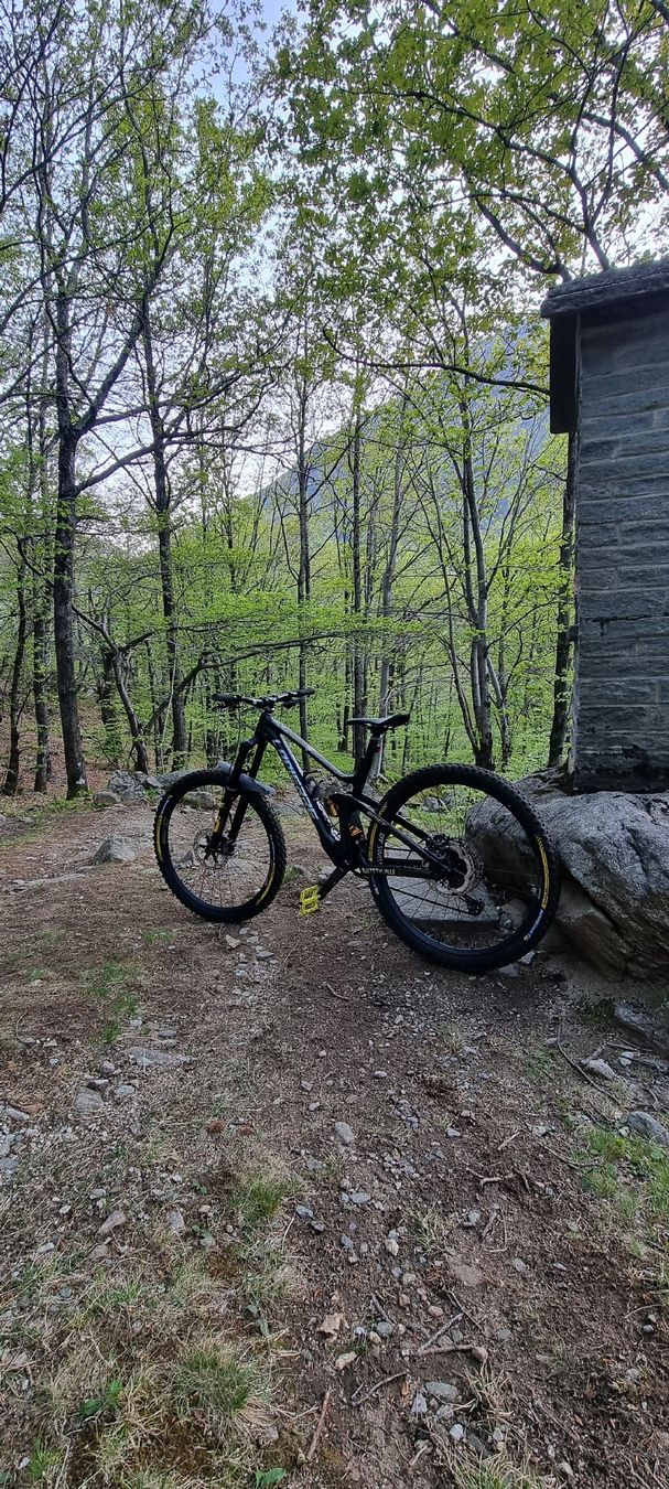 Lapierre Biciclette: lapierre spicy team full 29 – Usato da Avegno venduto da joe_t96r
