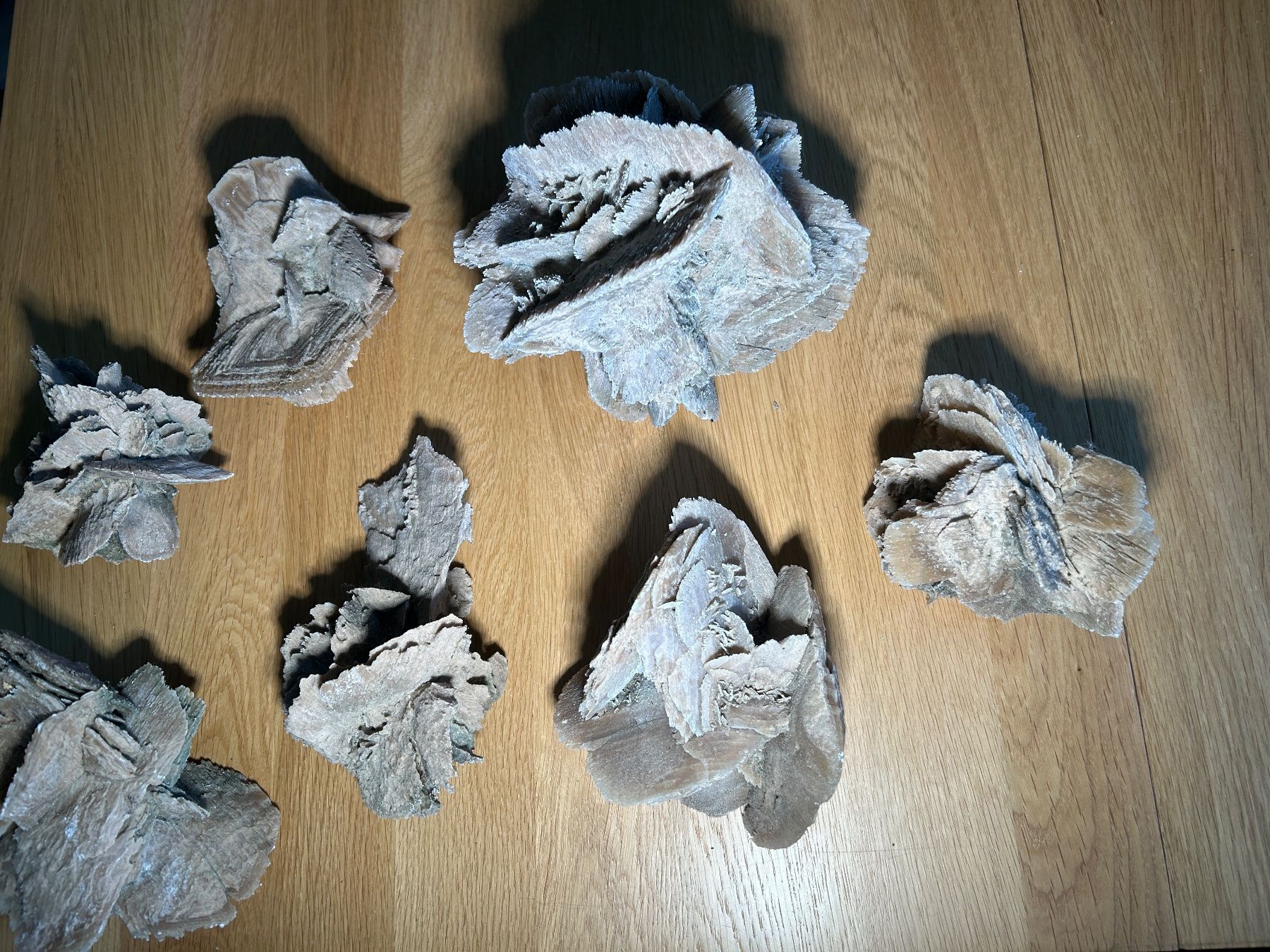 Tutte le decorazioni: Wunderschöne Seerosen Sammlung - 7 Stück - Dekoration – Usato da Uster venduto da tanaweide 3