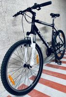 Mountainbike 21 Zoll 