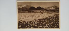 Alte Bergfrühlings-Postkarte von Davos mit Alpenmotiv