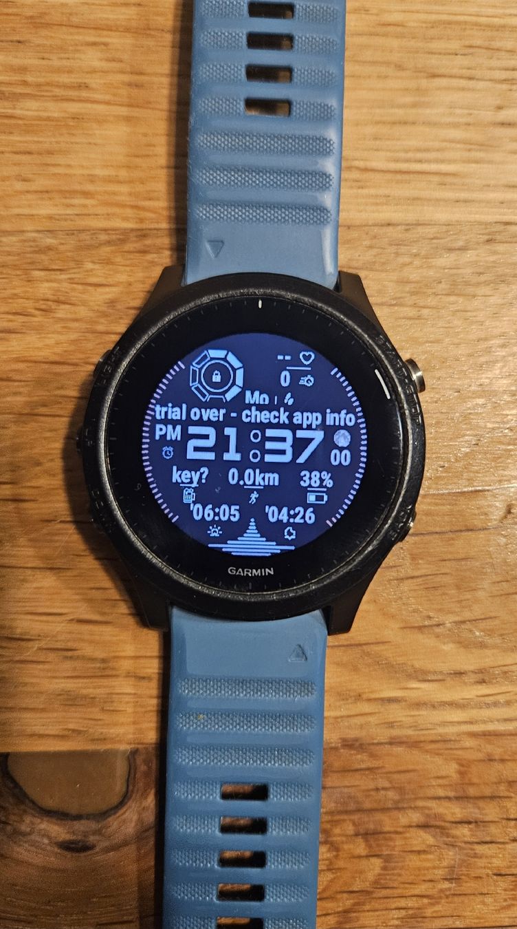 Garmin Smartwatch: Garmin Forerunner 945 GPS Smartwatch blau / türkis  – D'occasion à Bern par Freykwone 4