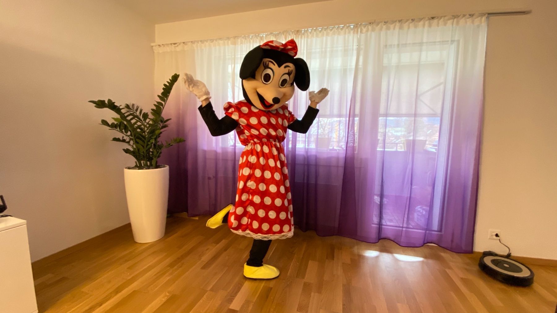 Costumi: Maskottchen Miete 1Woche – Usato da Burgdorf venduto da eins-A 3