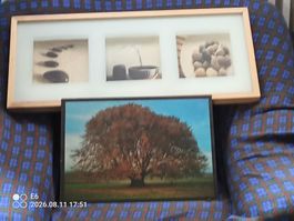 2 Scĥöne Bilder