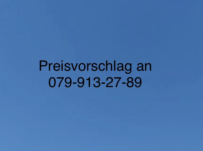 Smerigliatrici & Lucidatrici: Mähmesserschleifer Schleifgerät Rotax – Usato da Schwende venduto da weesli 9
