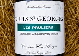 NUITS-SAINT-GEORGES - 2008 "Les Pruliers 1er Cru" H. Gouges