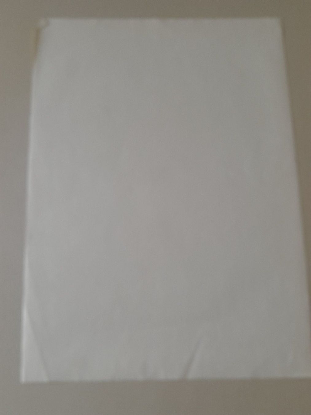 Xilografie: Holzschnitt Ugo Cleis " Ligornetto " – Usato da Thun venduto da Treff.....e 7