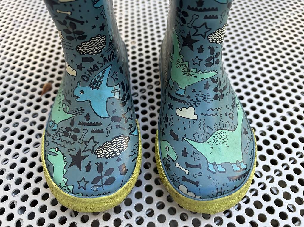 Scarpe per ragazzi: Gummistiefel Gr 25 – Usato da Zürich venduto da aqualina77 1