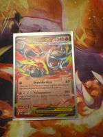 Mega Camerupt EX DE