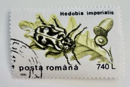 Briefmarke Hedobia imperialis postă română 740 L 1996