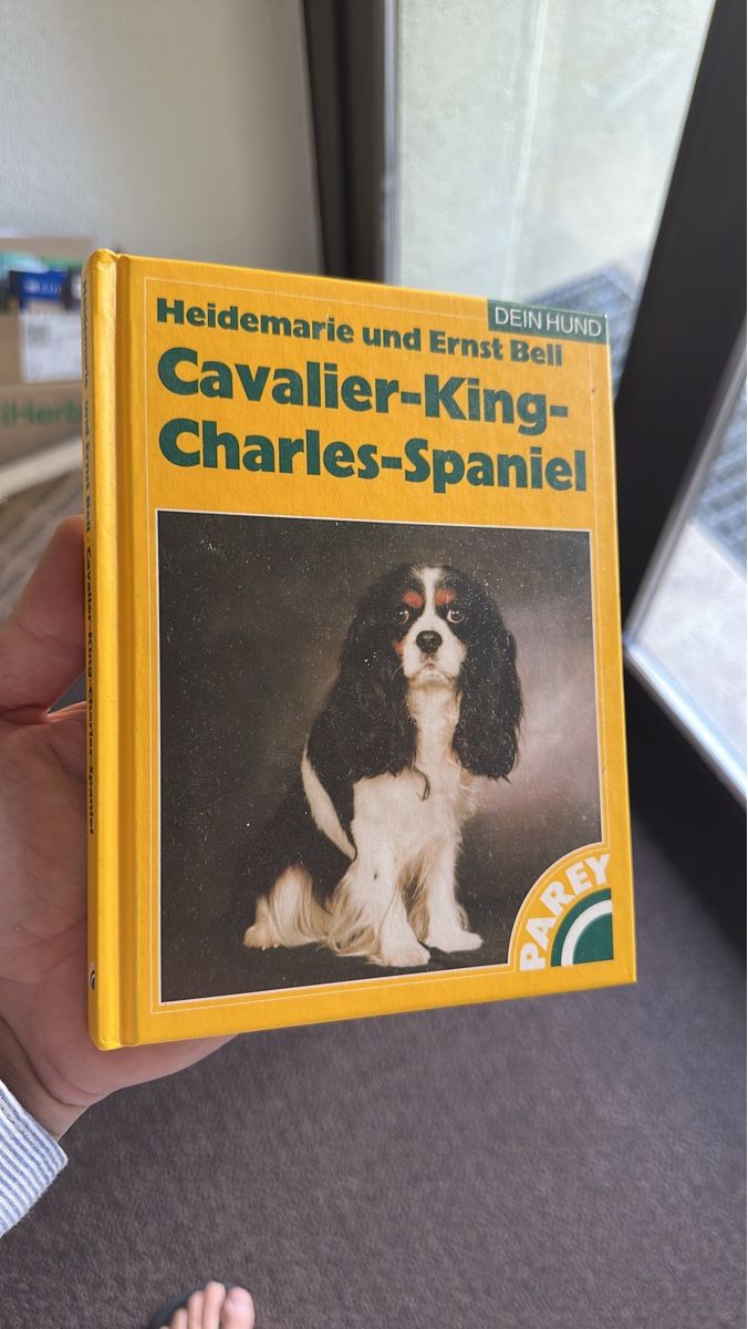 Bücher: Buch Cavalier-King-Charles-Spaniel DEIN HUND – Gebraucht aus Unterägeri von Mercedes-Benz2012