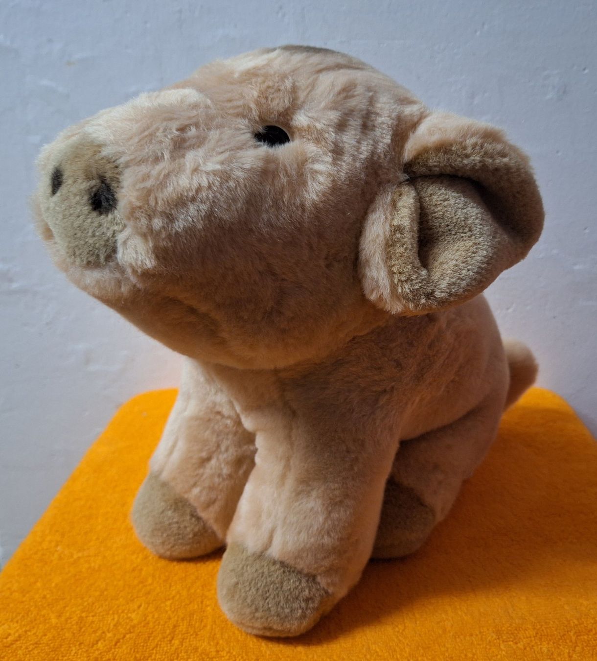 Spielzeuge: Plüsch Schweinchen / PLÜTI – Gebraucht aus Muri AG von spezielle_geschenke