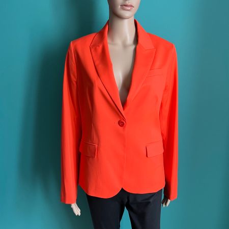 INES DE LA FRESSANGE Blazer | 100% Wolle 🧡