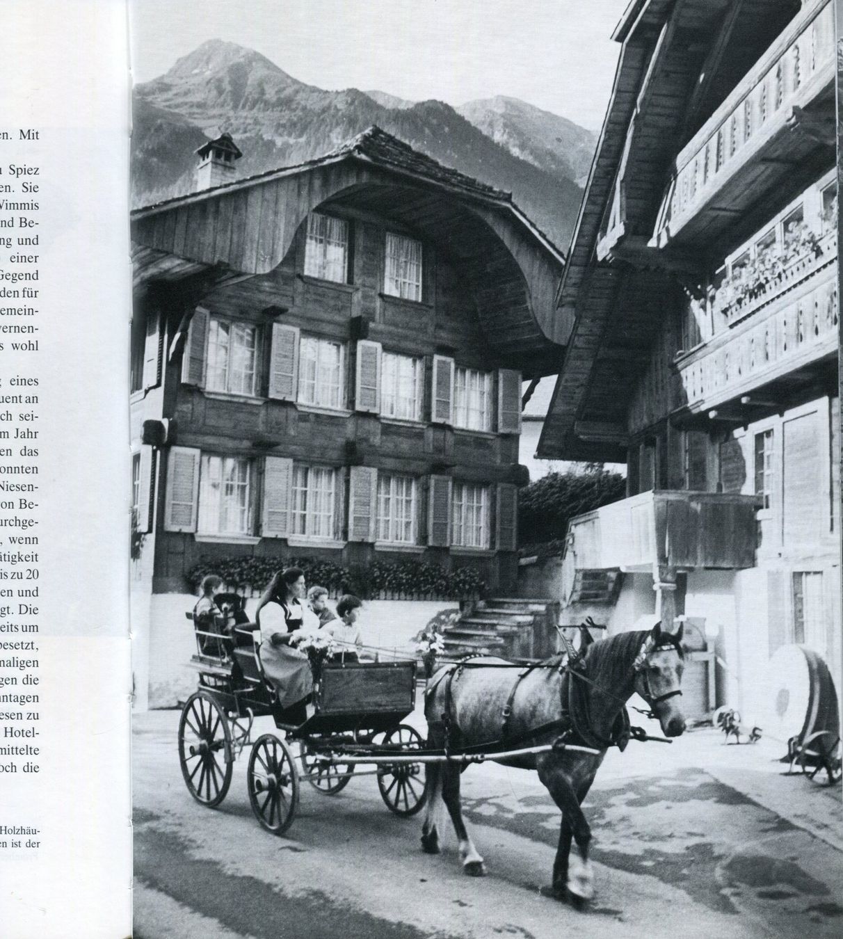 Libri: Niesen, Niesenbahn, Berner Heimatbuch – Usato da Aarau venduto da Elmaar41 2