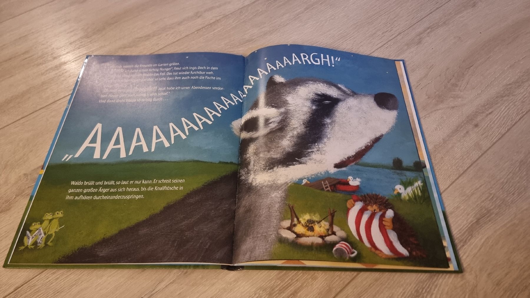Bücher: Waldo Waschbär wütend wird neuwertig  – Neu (gemäss Beschreibung) aus Wigoltingen von Zuckerfee84 5