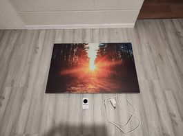 Infrarotheizung mit Bild (580W)