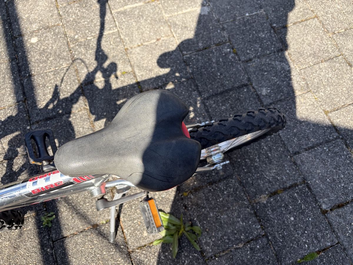 Crosswave Velos: 16 zoll Crosswave Kinderfahrrad, guter Zustand, abholbereit! – Gebraucht aus Sevelen von gsandax 4