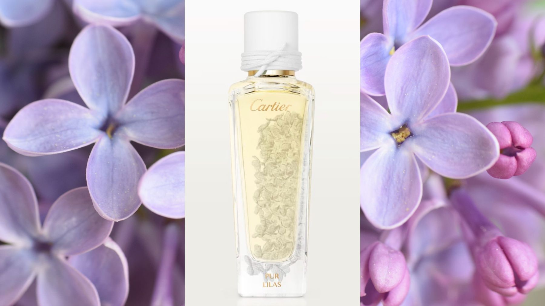 Cartier Parfum & Eau de Toilette: Pur Lilas Cartier 5 ml probe – Gebraucht aus Täuffelen von RoyaltyBrown 1