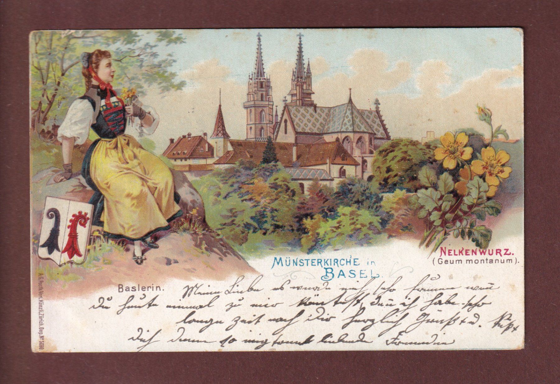 Cartoline postali: BASEL - Baslerin - Nelkenwurz - 1902 – Usato da Pully venduto da nicecards