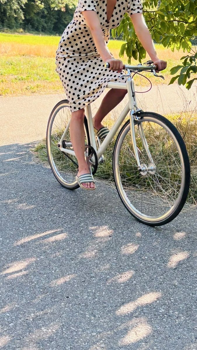 Schindelhauer Velos: Schindelhauer Siegfried – Singlespeed – Gebraucht aus Lyss von inf_c5q7