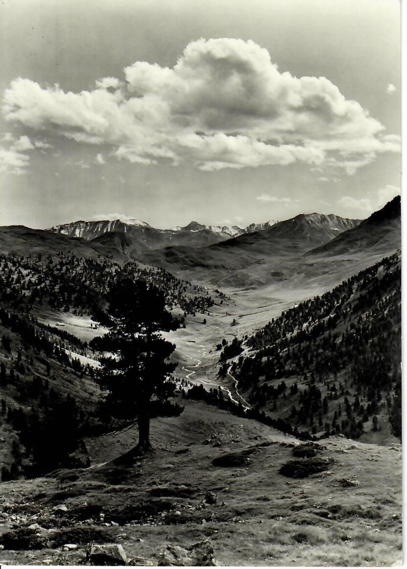 Cartoline postali: Blick von Plazér auf Scarltal – Usato da Hochdorf venduto da Ziegel-16