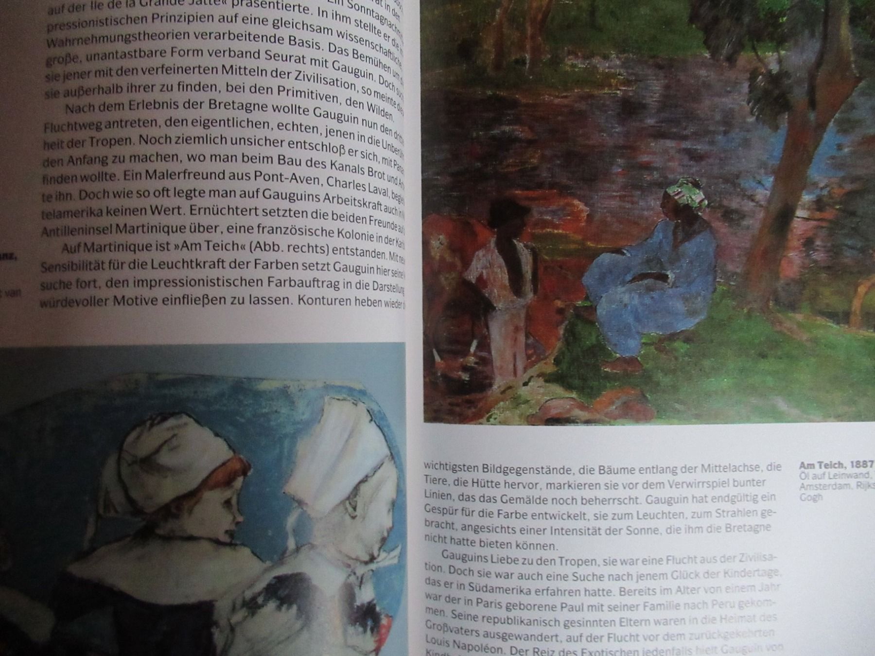 Libri: PAUL GAUGUIN – Usato da Moosseedorf venduto da haro01 8