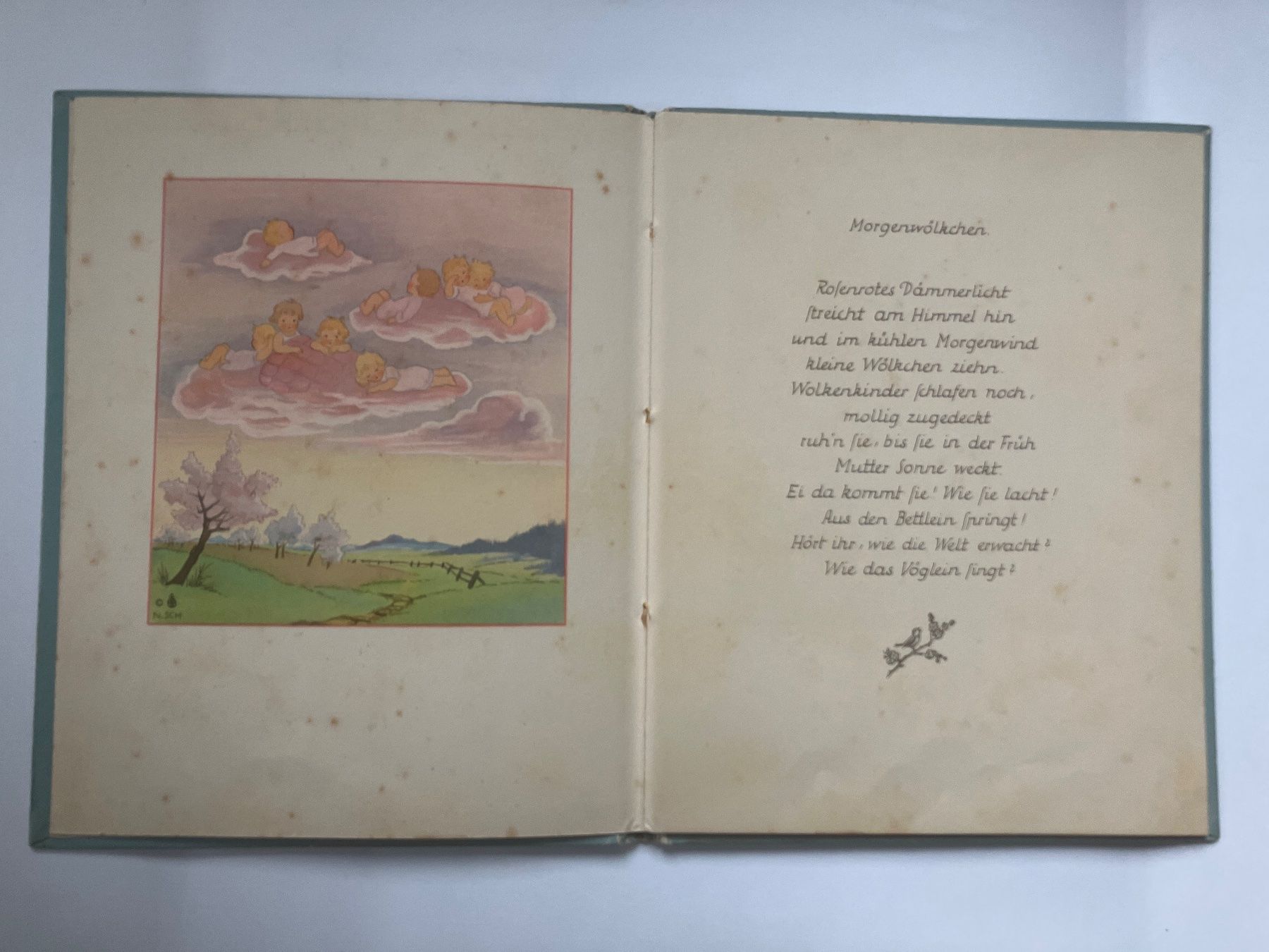 Libri: Wolkenkinder Nora Scholly – Usato da ZUERICH venduto da Carolus1 2