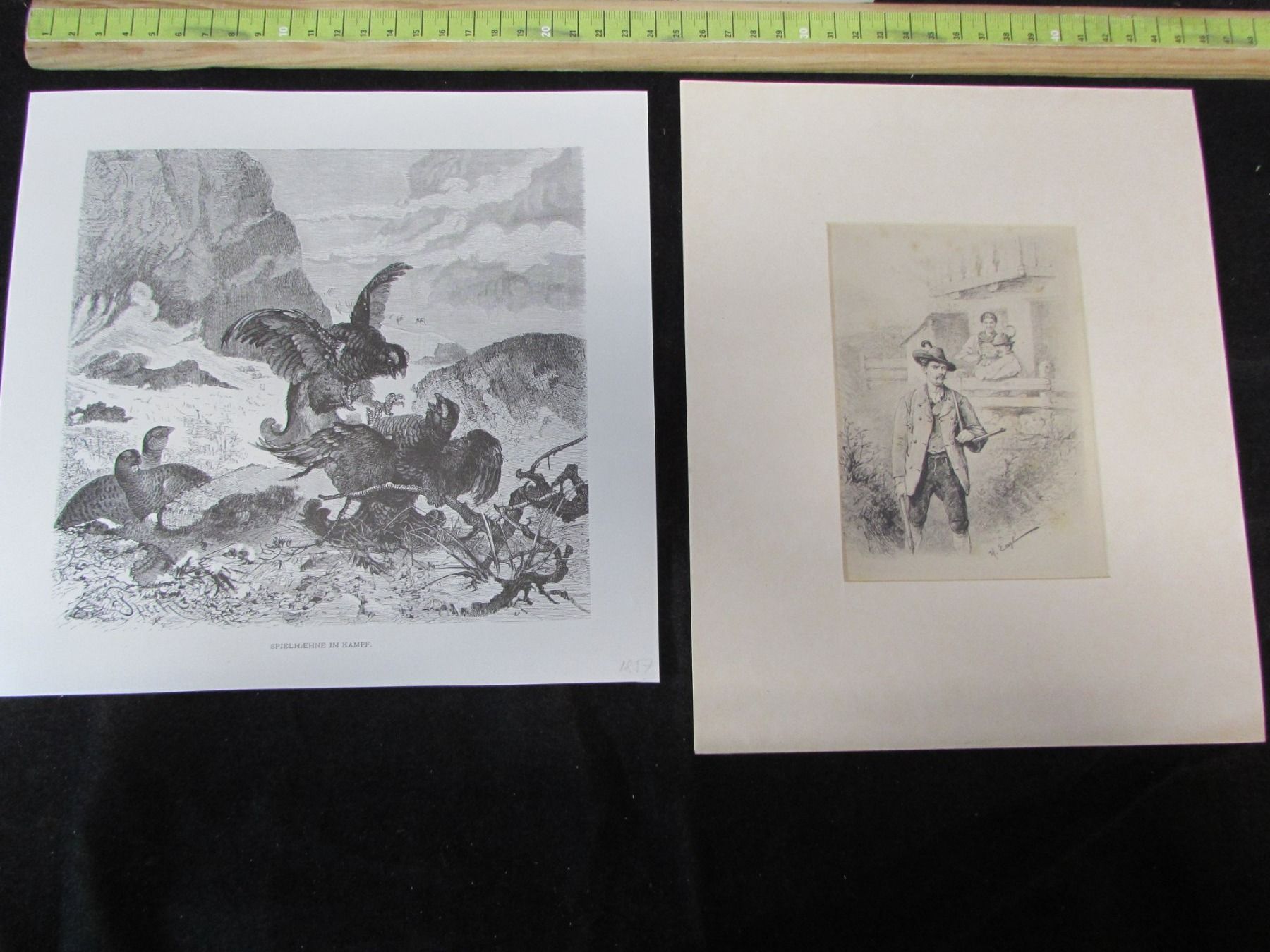 Gravures: Jagdt,Gebirge, 19.Jh. – D'occasion à Walchwil par Shells1 3