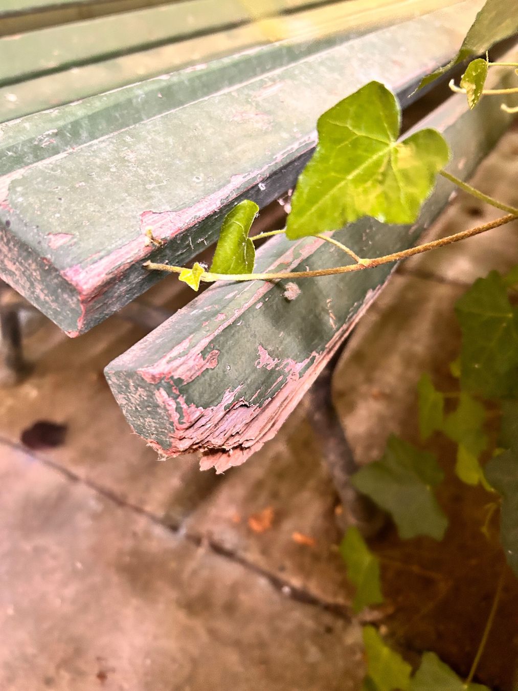 Bancs: Gartenbank – Défectueux à Basel par Robin1978 3