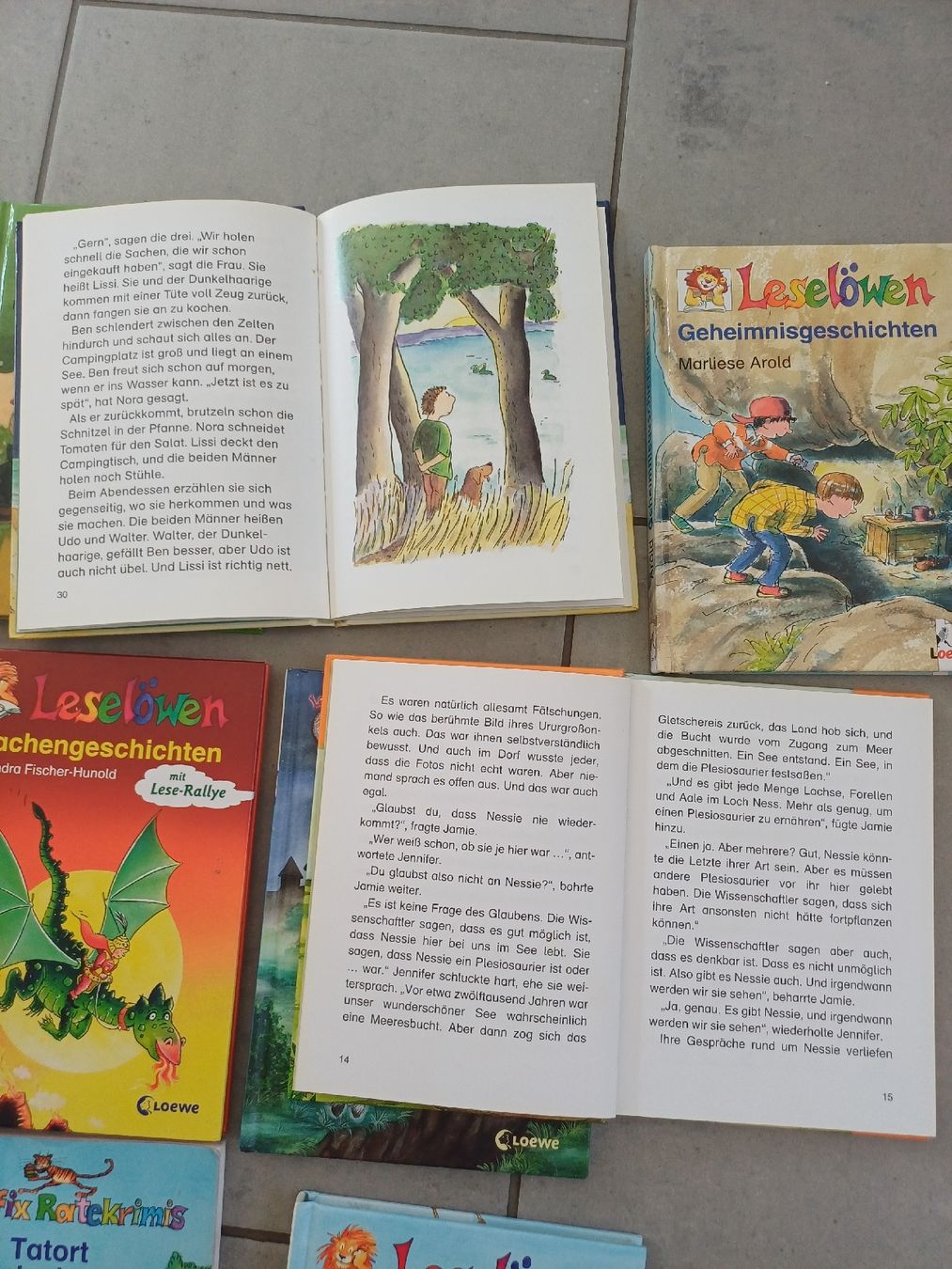 Bücher: Lesebücher 3. Lesestufe – Gebraucht aus Kollbrunn von mitglied2007 2