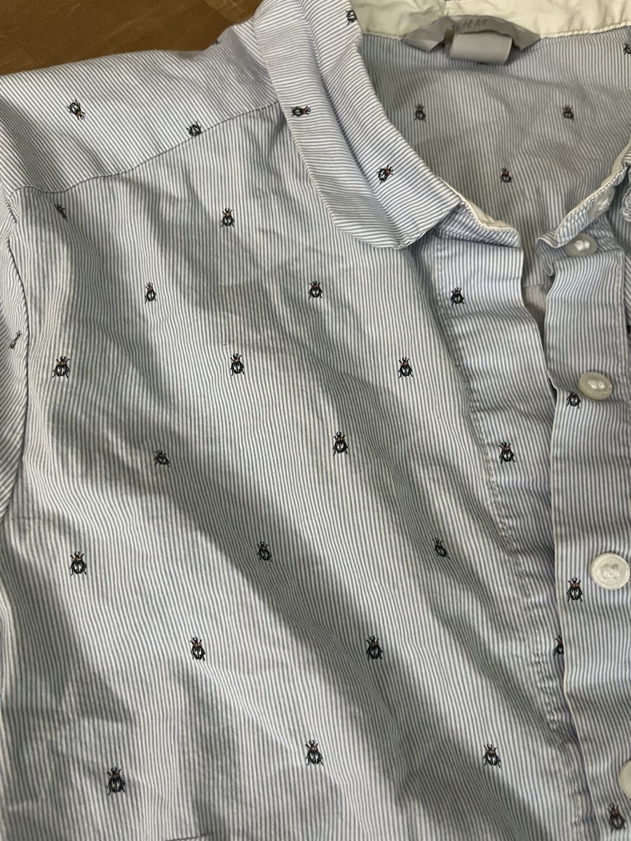 H&M Camicette: H&M Bluse, Gr. 38, hellblau gestreift, Käferprint – Usato da Stäfa venduto da jo1735 1