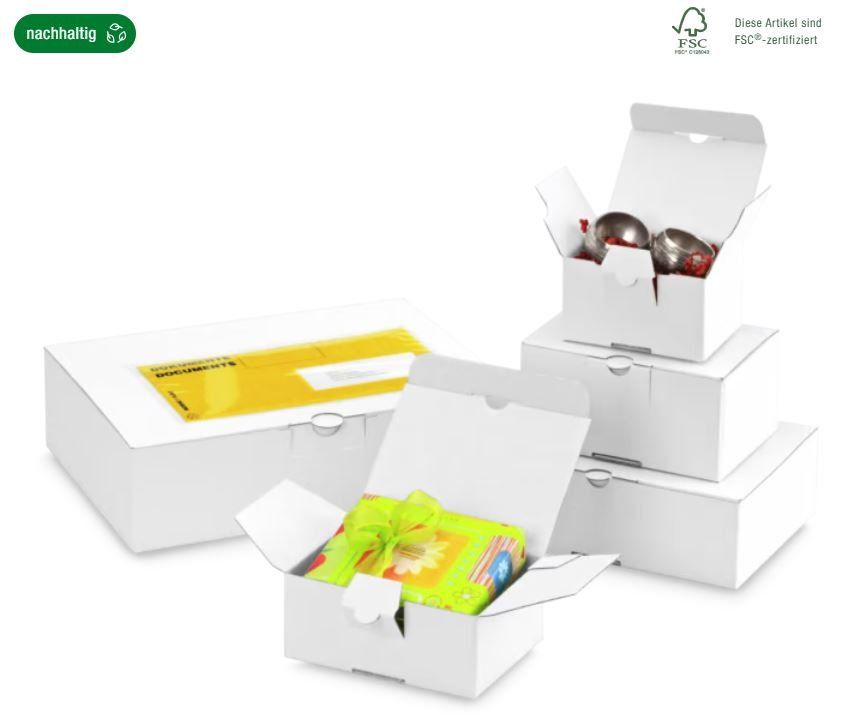 Cartoni: Versandkarton Blitzboden QUICK-BOX® mit Steckverschluss – Usato da Menzberg venduto da davogel1