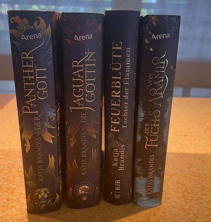Bücher: Katja Brandis Büchee Gott – Gebraucht aus Wädenswil von nin_ng6n