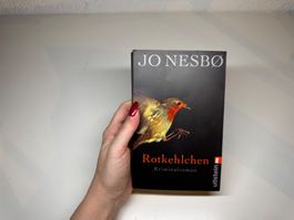 ROMAN: Jo Nesbo, Rotkehlchen