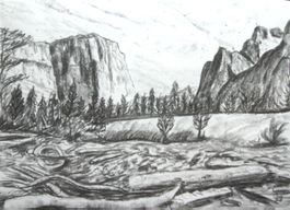 Gr. Kohle Zeichnung: Im Canyon