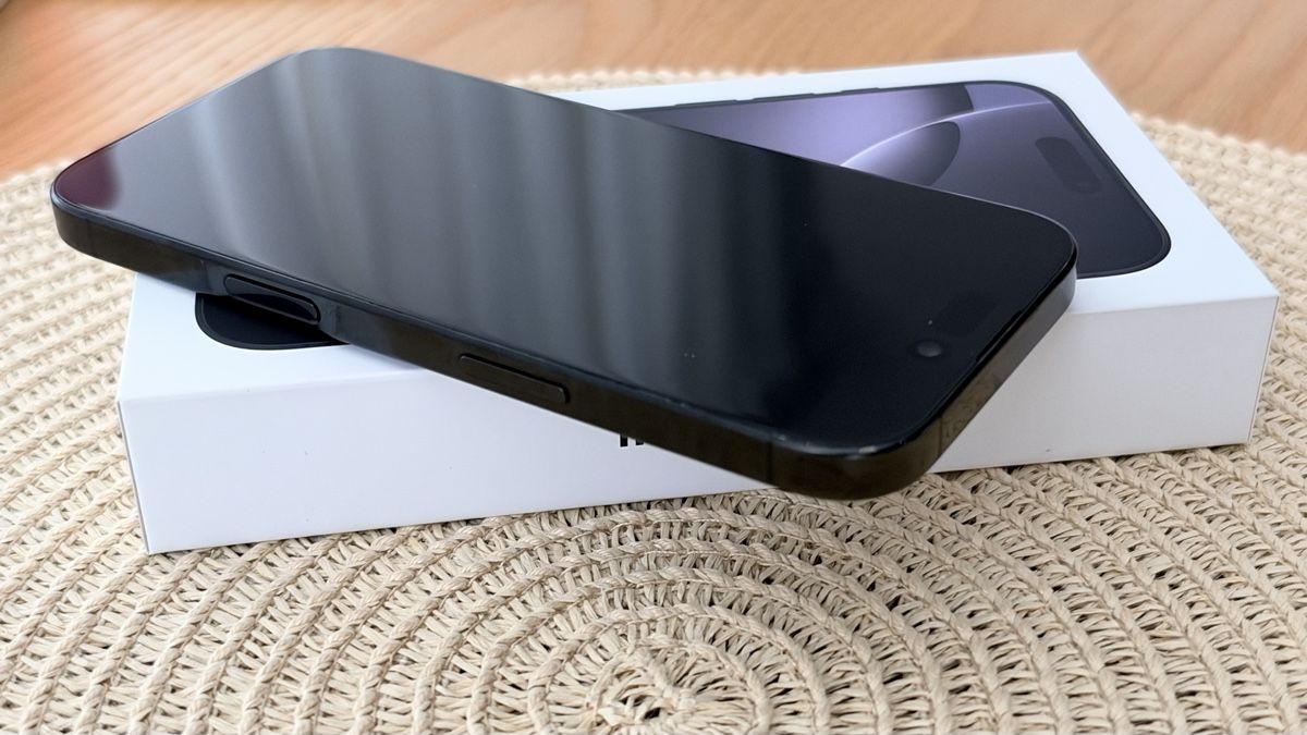 Apple Telefoni cellulari / Smartphones: iPhone 16 Pro 256 GB - Schwartz – Usato da Regensdorf venduto da elbryan 1