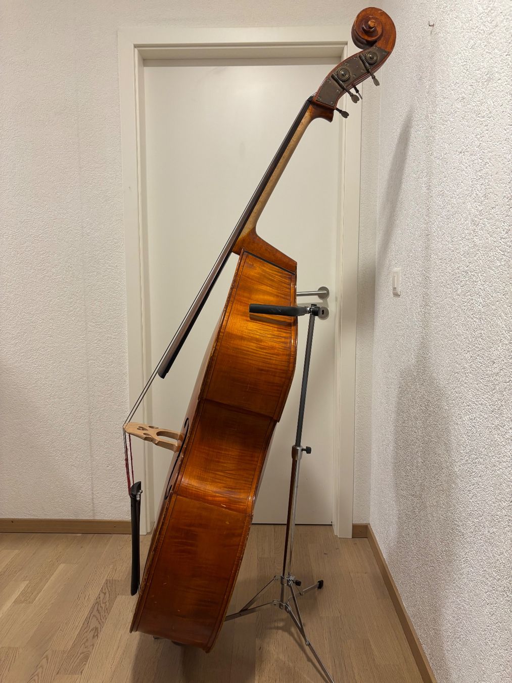 Strumenti musicali: Contrebasse allemande, archet, housse et support – Usato da Geneve venduto da ann_59y5 1