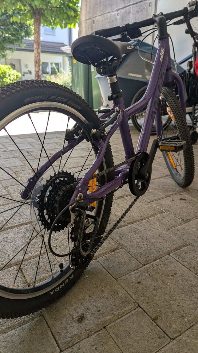 Naloo Biciclette: Naloo 20 Zoll – Usato da Rüti ZH venduto da S_Like 4