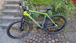  California MTB Crew 29'' / 54 cm
