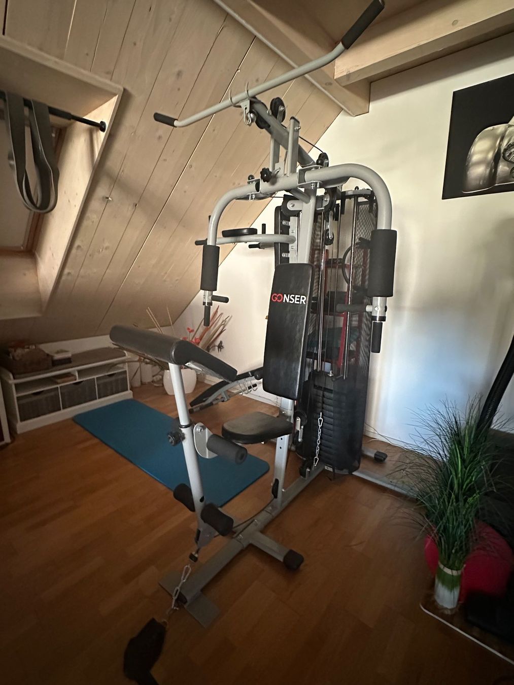 Gonser Hometrainer: XXL Kraftstation Dragon – Usato da Rikon im Tösstal venduto da sani.144