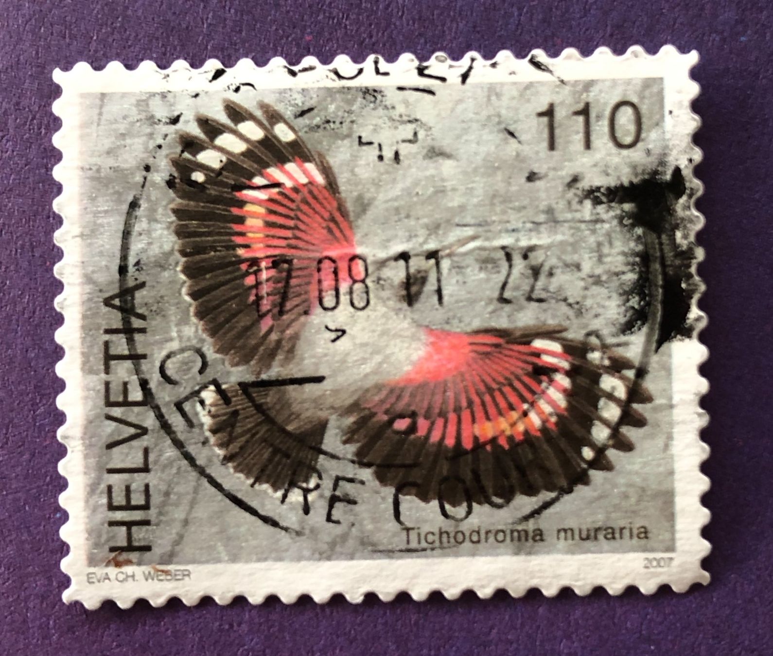 Tutti i francobolli: Nr. 1238 MAUERLÄUFER GESTEMPELT 2007 – Usato da Aarau venduto da Billa007