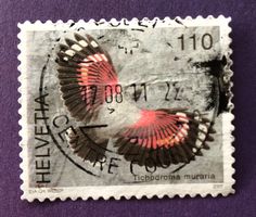 Nr. 1238 MAUERLÄUFER GESTEMPELT 2007