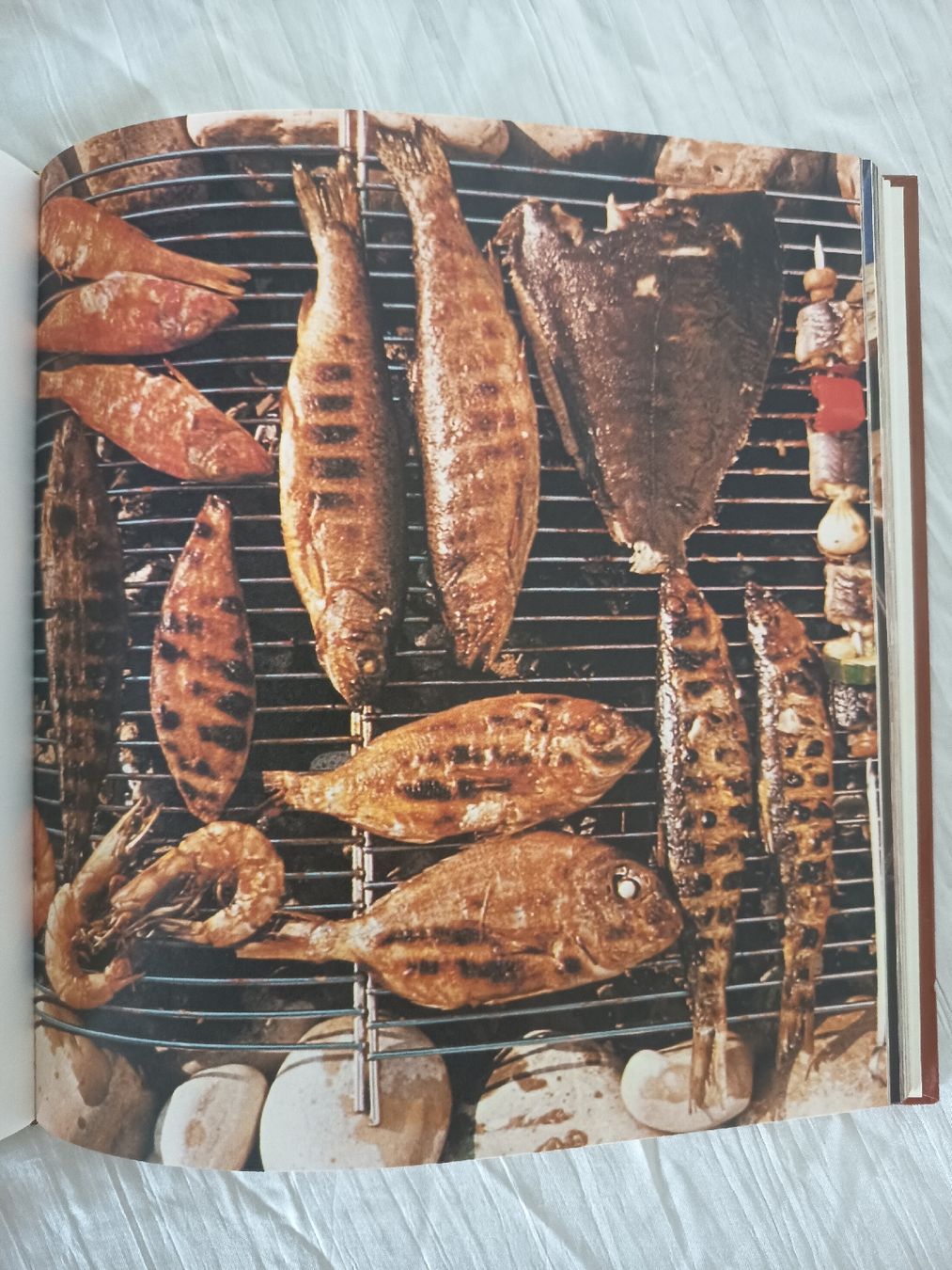 Bücher: Kochbuch Grillbuch Heidi Freund gebraucht – Gebraucht aus Wangen b. Olten von crea_look 5