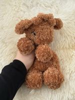 Hochlandrind Snuggler
